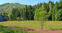 Ann valley